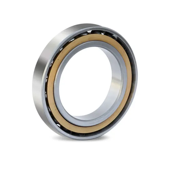 90bnr10s Angular Contact Ball Bearings 10kn. M Output Torque and 72.3kn. M Holding Torque Slewing Drive 