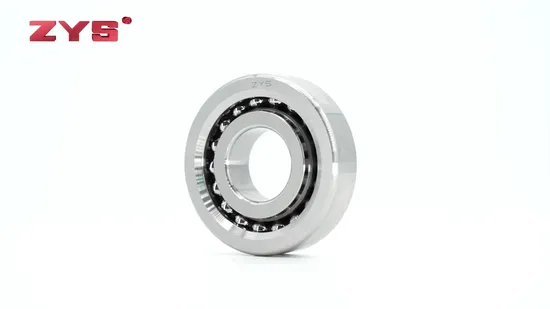 Precision Rolling Bearings Ball Screw Support Bearings 760213 with IATF16949 Certificated 